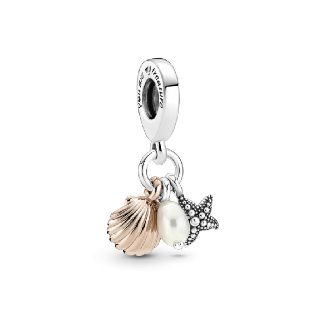 Charm Conchas de Mar