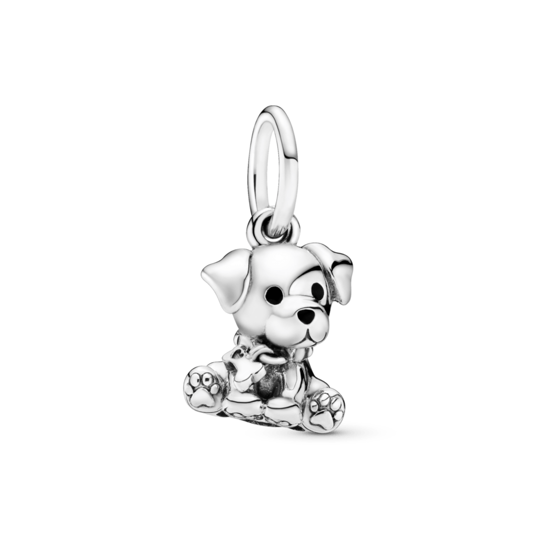 Charm Perro