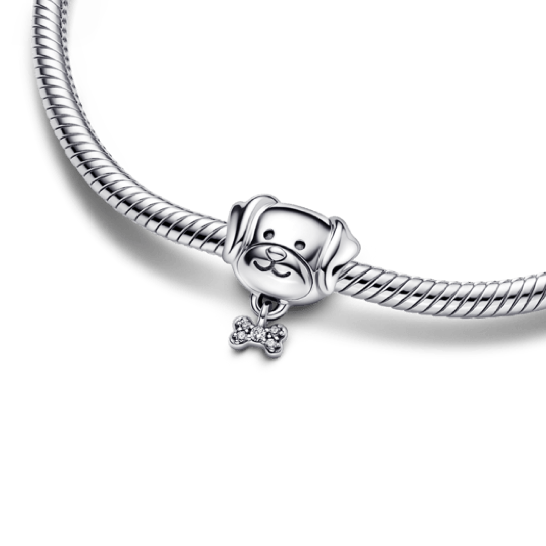 Charm Perro Hueso
