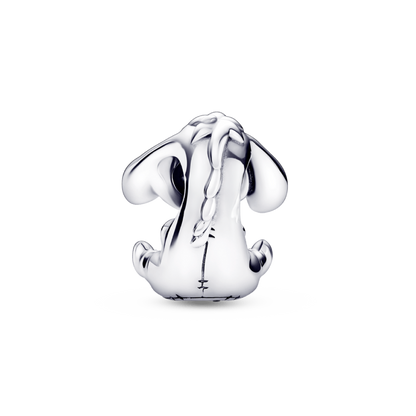 Charm Igor