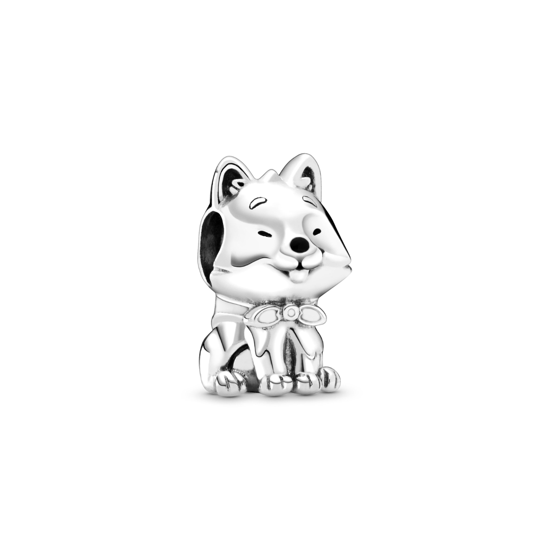 Encanto Perro Akita