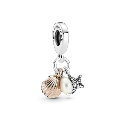 Encanto Conchas de Mar